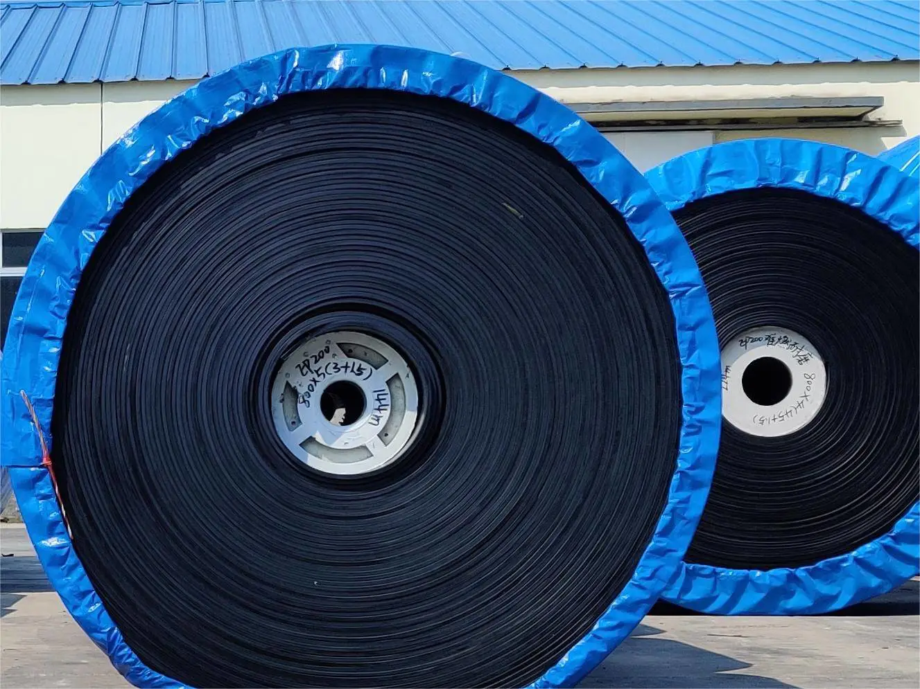 Polyester Conveyor Belt（EP）